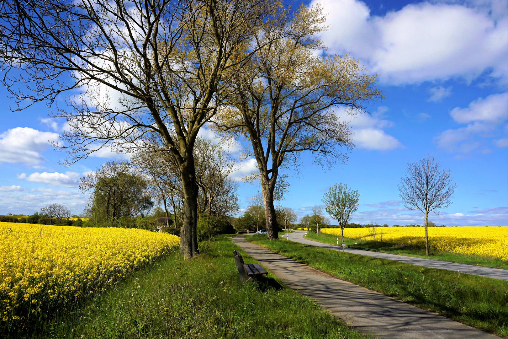 Die Farben des Frühling