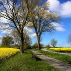 Die Farben des Frühling