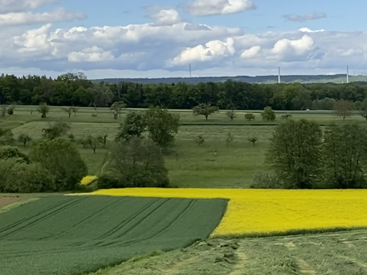 die Farben des Frühling s in der Natur