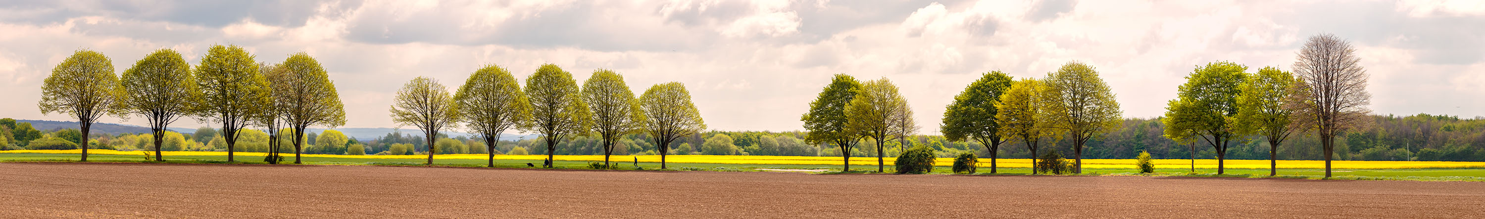 Die Farben des Frühlings