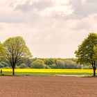 Die Farben des Frühlings