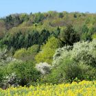 Die Farben des Frühlings