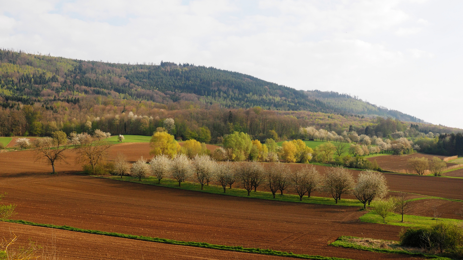 Die Farben des Frühlings 2019