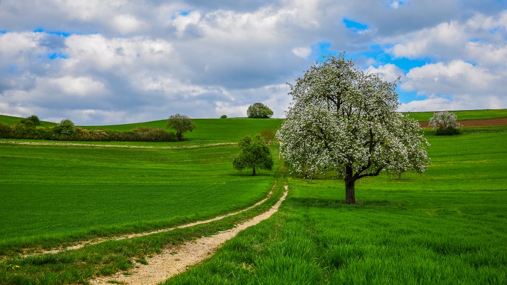 Die Farben des Frühlings