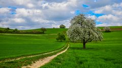 Die Farben des Frühlings