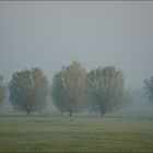 Die Farben des Frühlings