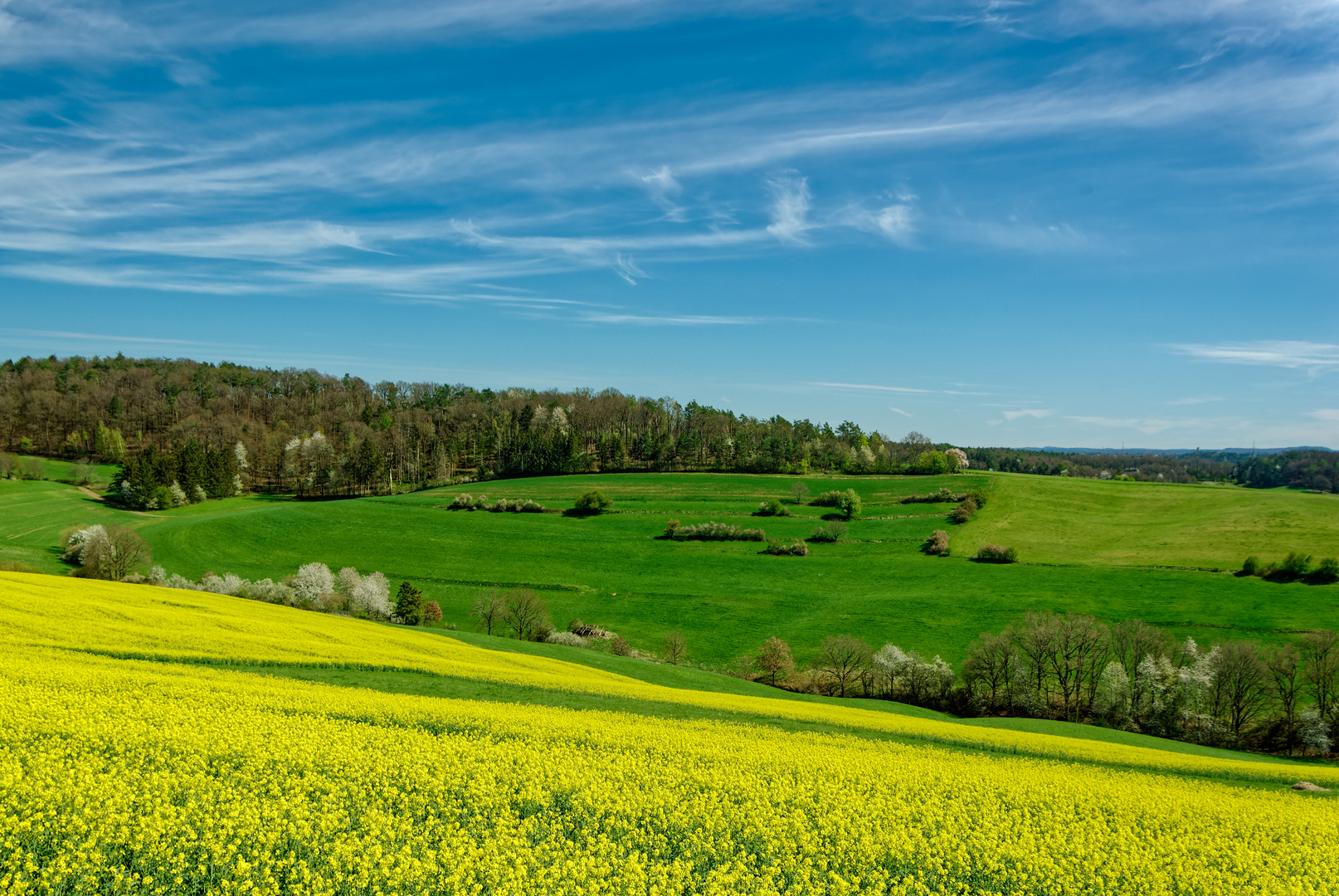 Die Farben des Frühlings