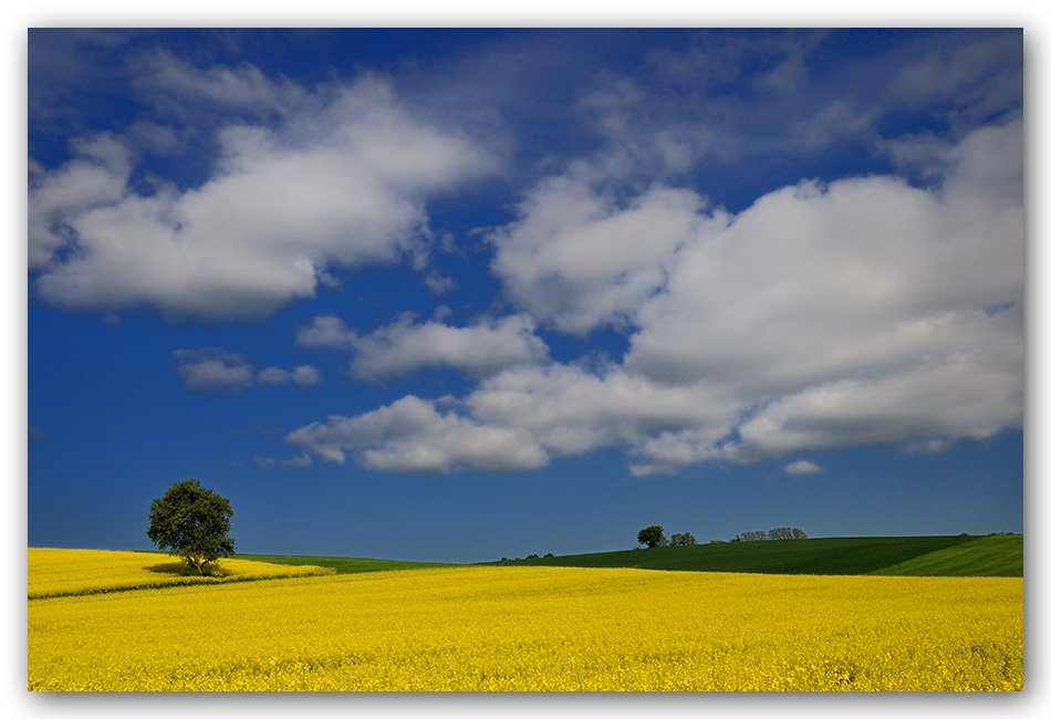 die Farben des Frühlings