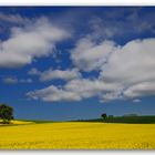 die Farben des Frühlings