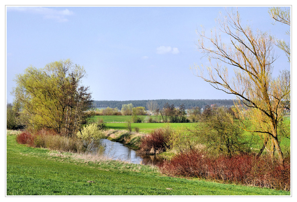 die Farben des Frühling`s