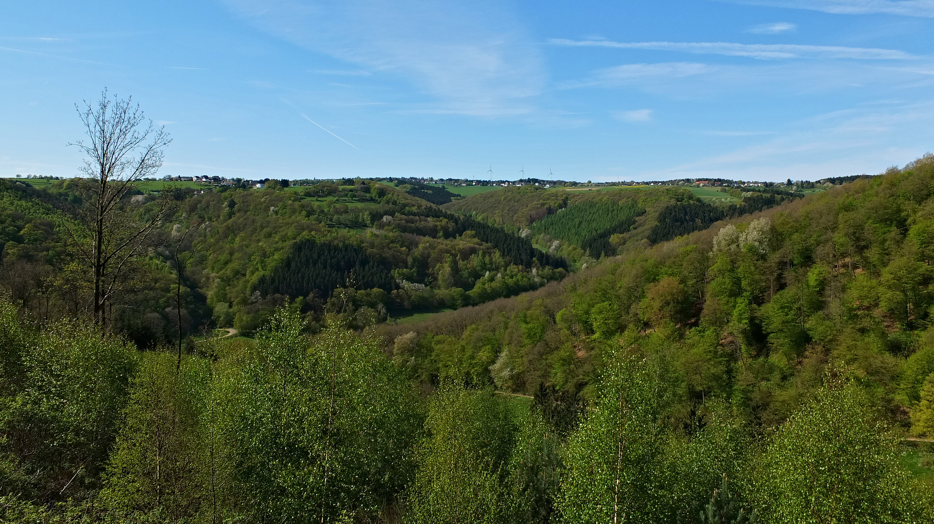 Die Farben des Frühlings