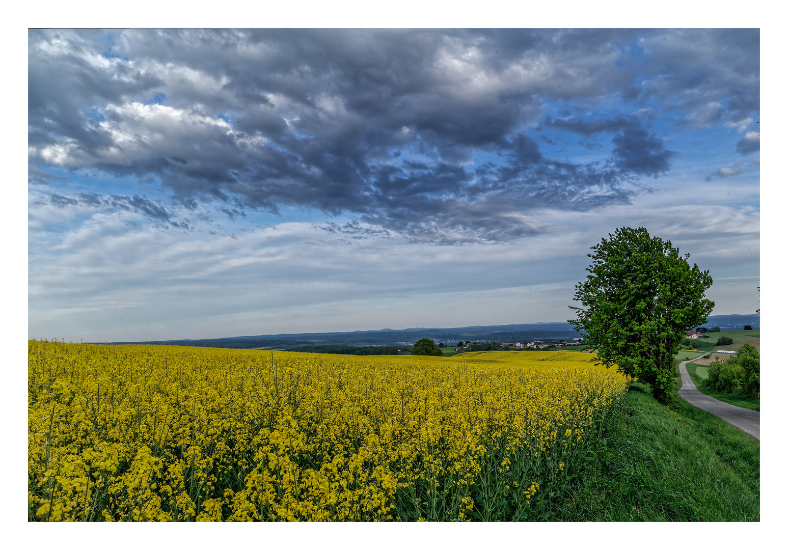 Die Farben des Frühlings