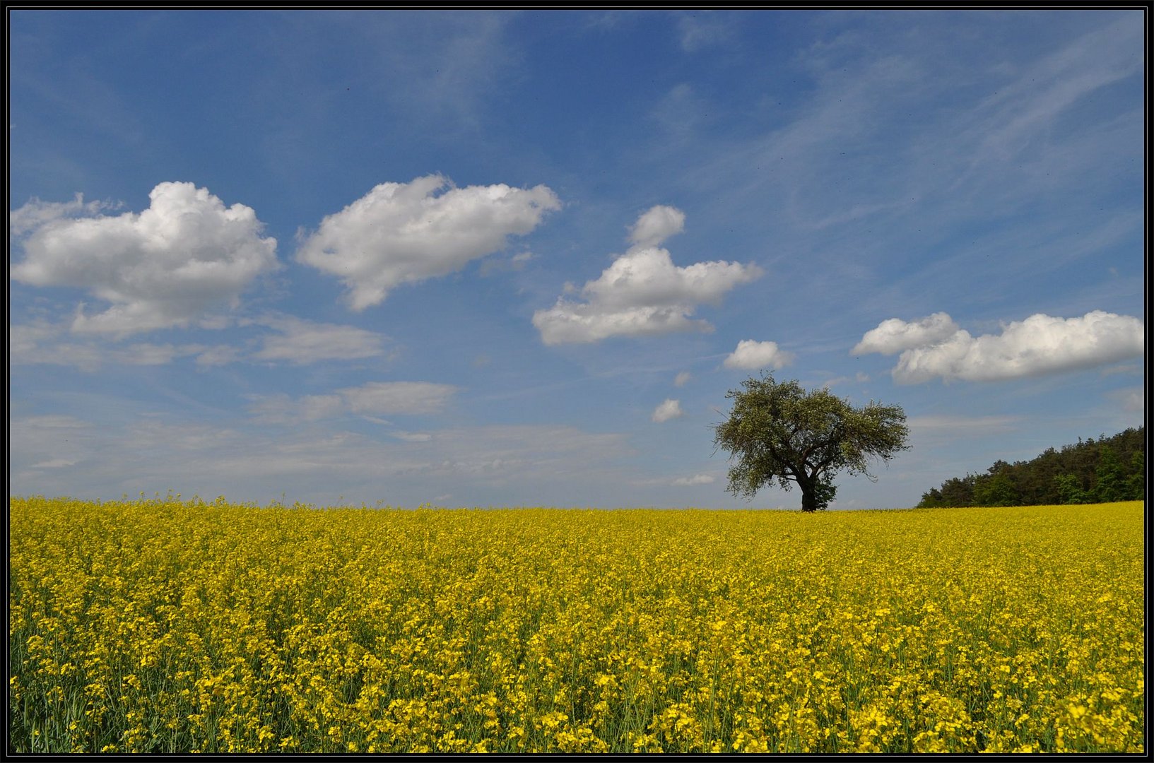 Die Farben des Frühlings....