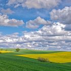 Die Farben des Frühlings