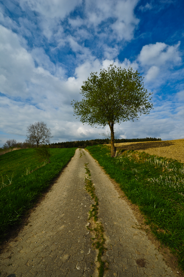 Die Farben des Frühlings...