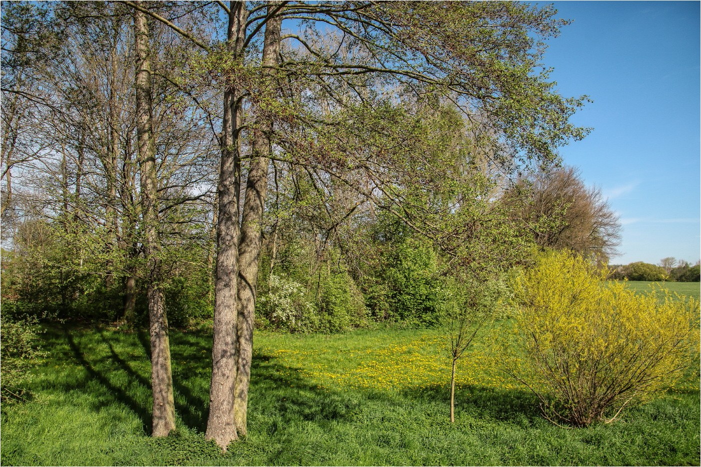 Die Farben des Frühlings