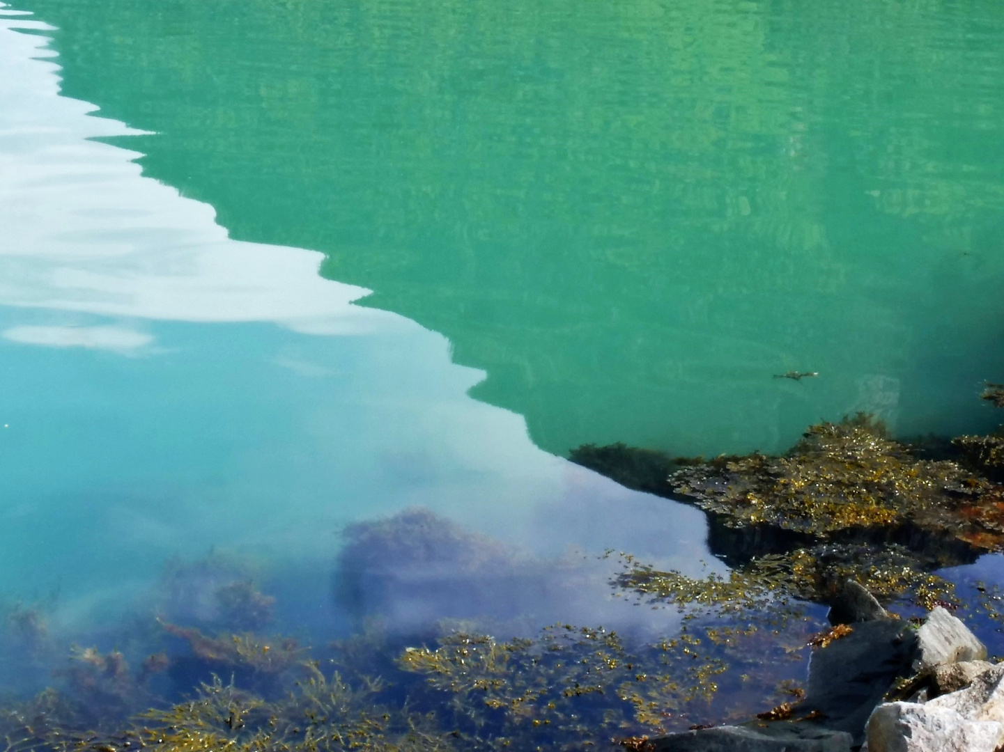 Die Farben des Hardangerfjords