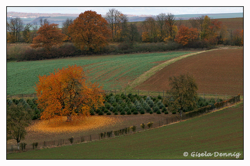 Die Farben des Herbst