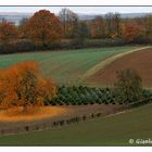 Die Farben des Herbst