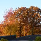 Die Farben des Herbst