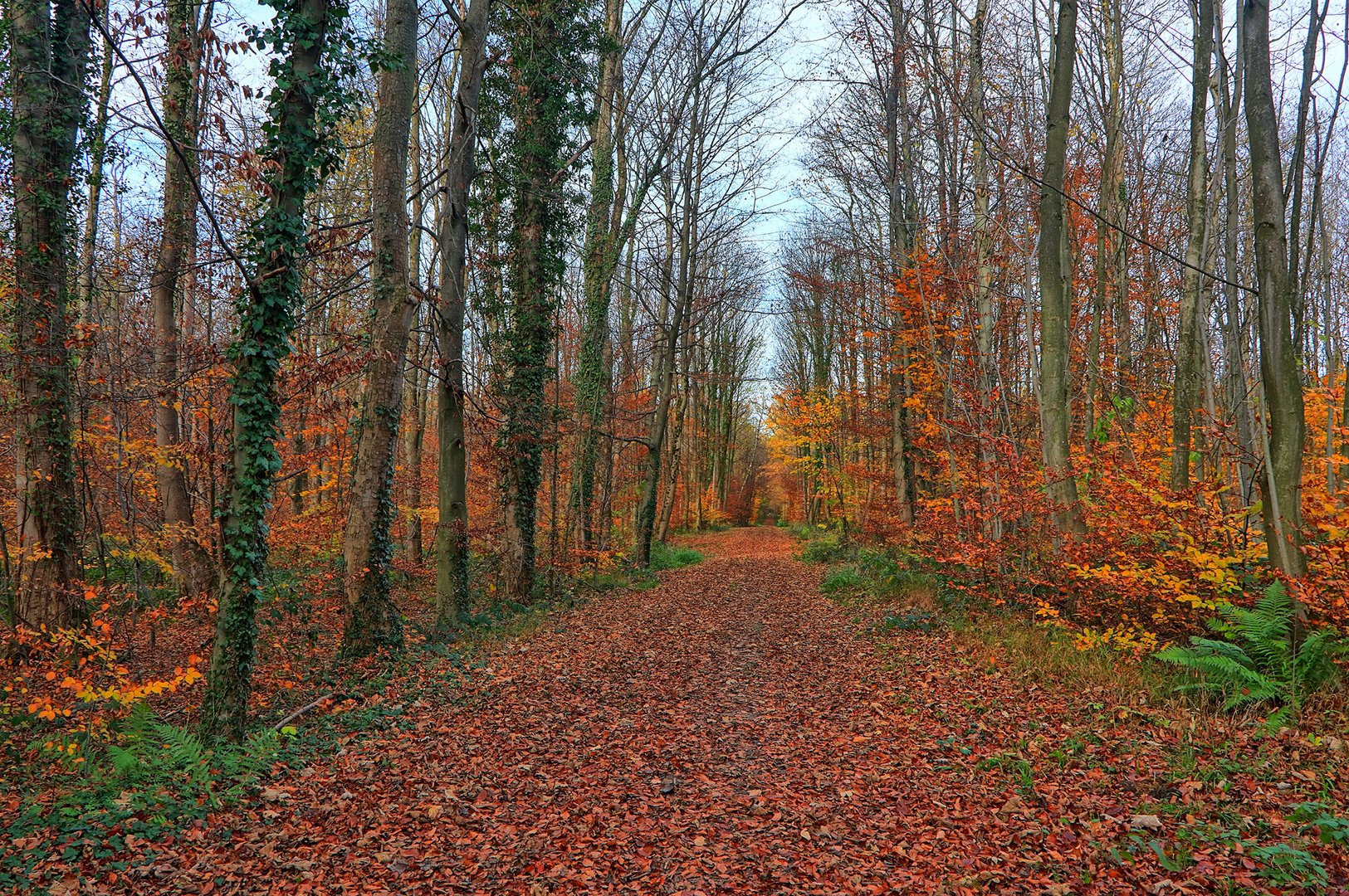 Die Farben des Herbst