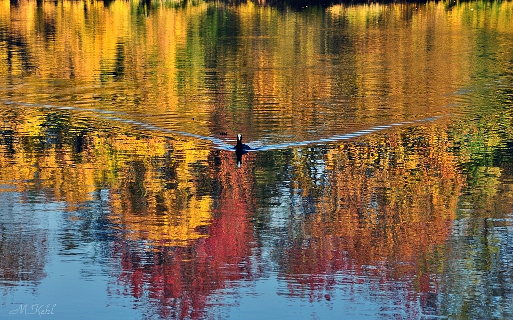 Die Farben des Herbst .....