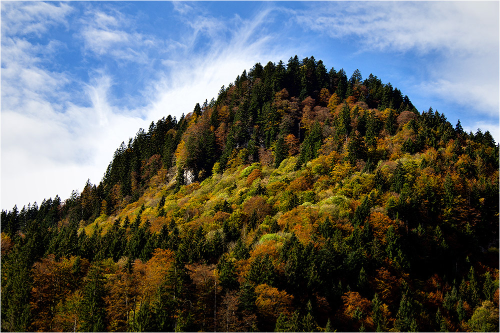 Die Farben des Herbst