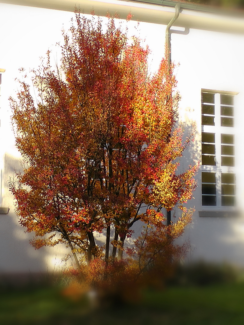 die Farben des Herbst