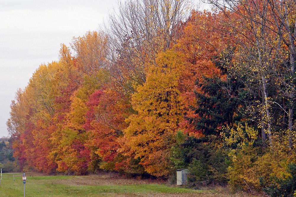 Die Farben des Herbst