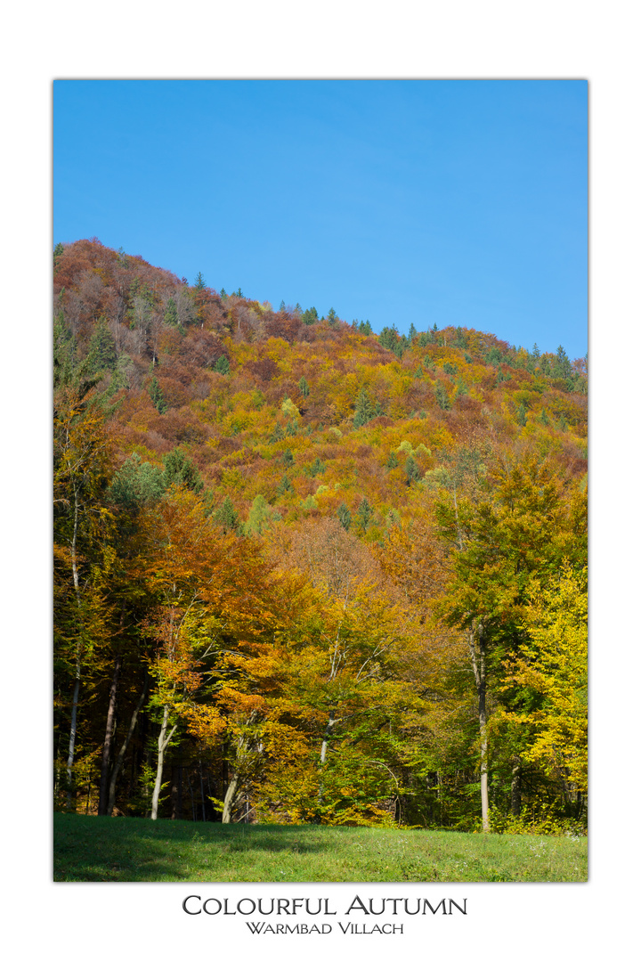 Die Farben des Herbst sind einfach nur schön!