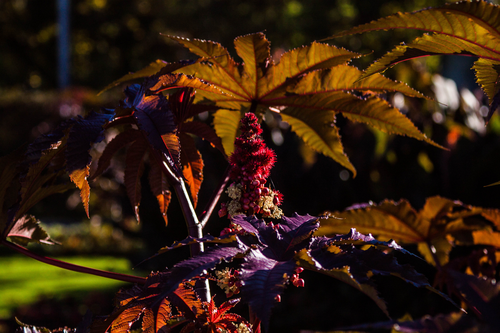 Die Farben des Herbstes