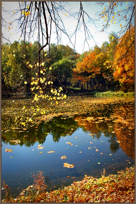 Die Farben des Herbstes