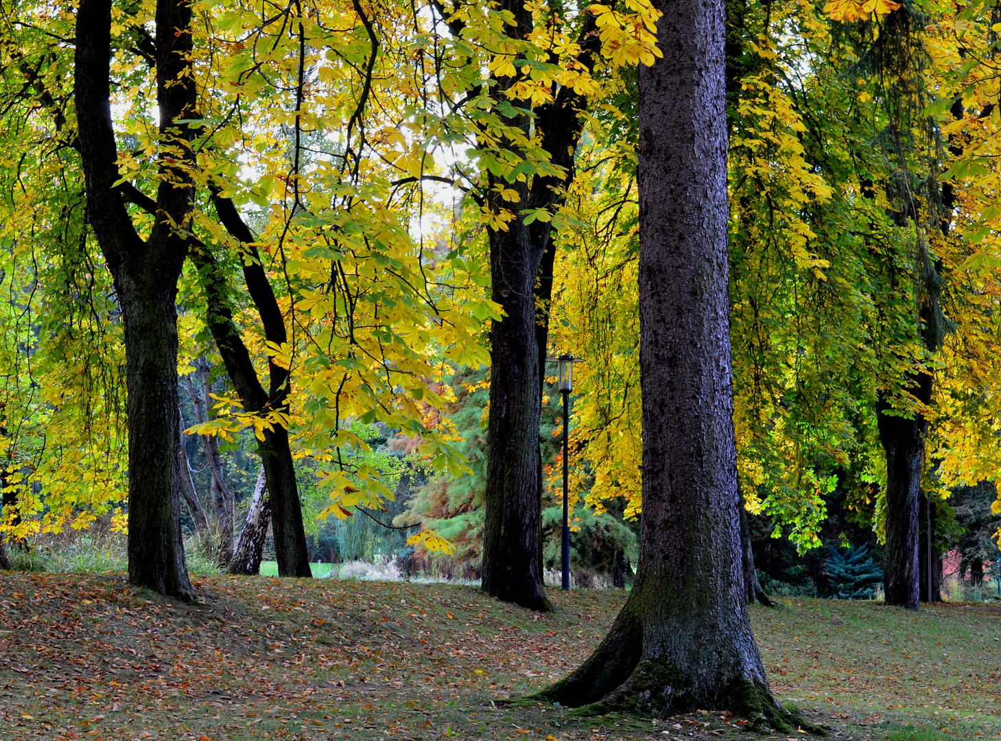 Die Farben des Herbstes