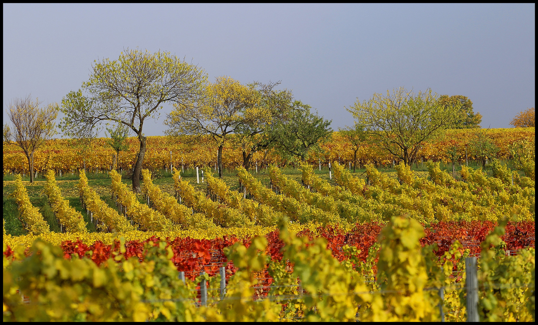 Die Farben des Herbstes