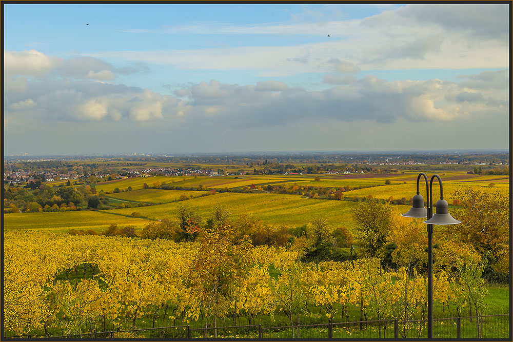 DIE FARBEN DES HERBSTES