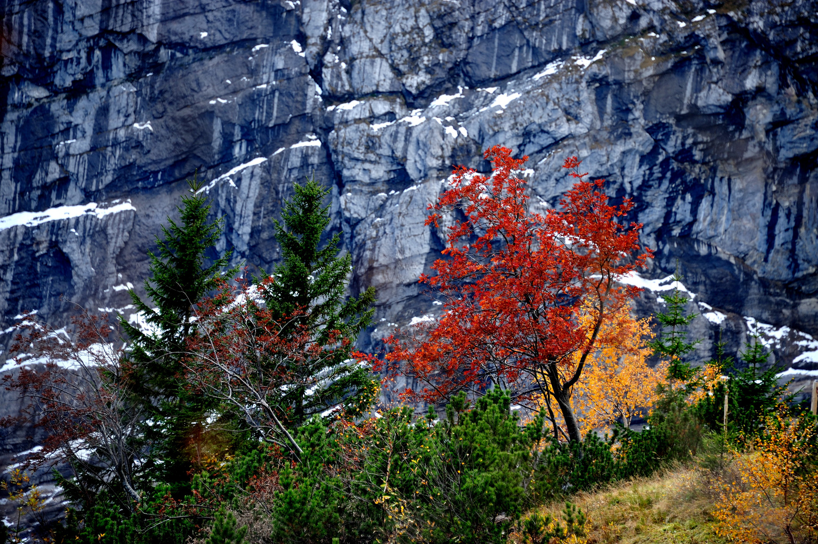 Die Farben des Herbstes