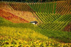 Die Farben des Herbstes 2