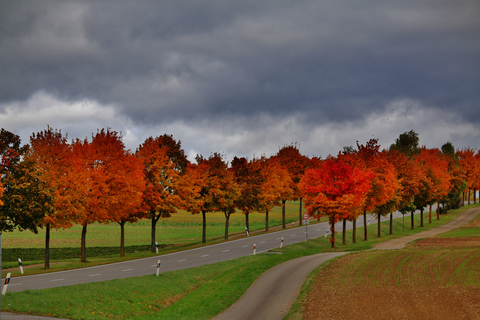 Die FARBEN  des HERBSTES 2016