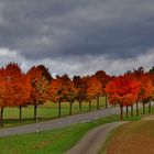 Die FARBEN  des HERBSTES 2016