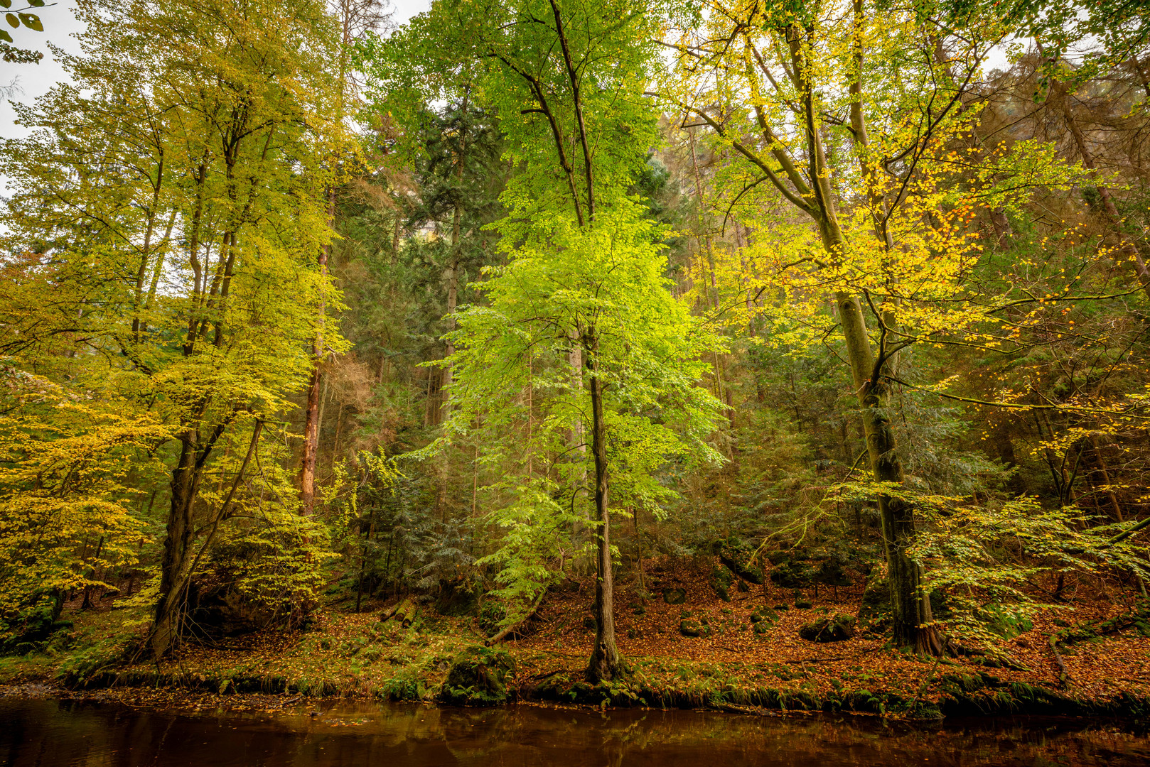 Die Farben des Herbstes