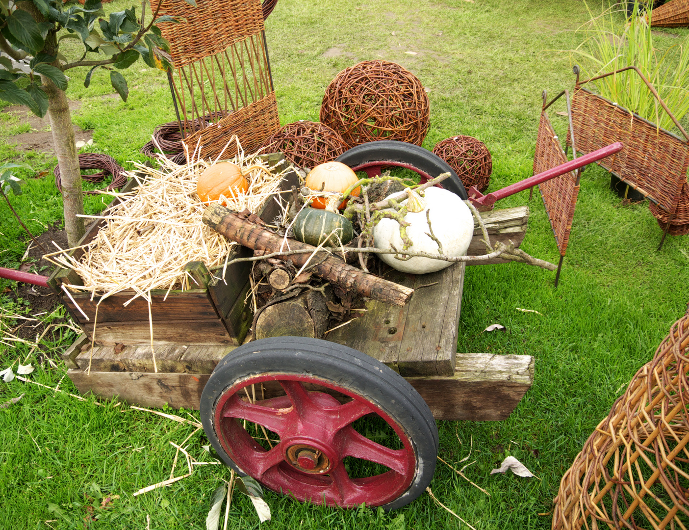 Die Farben des Herbstes 3 Foto & Bild | kunstfotografie & kultur
