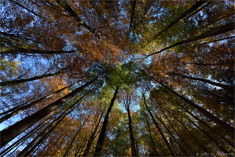 Die Farben des Herbstes