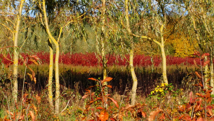 Die Farben des Herbstes