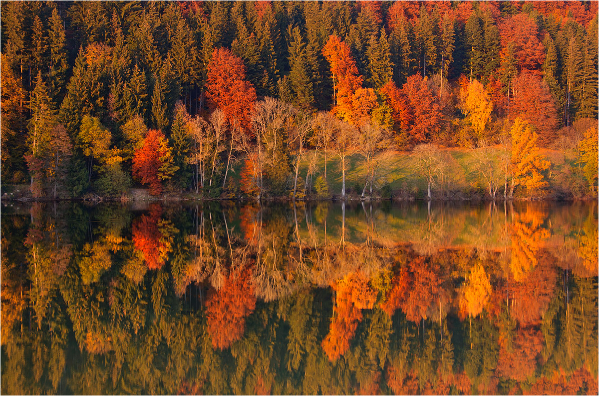 Die Farben des Herbstes