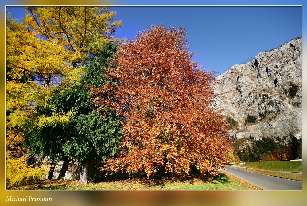 Die Farben des Herbstes