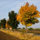 Die Farben des Herbstes