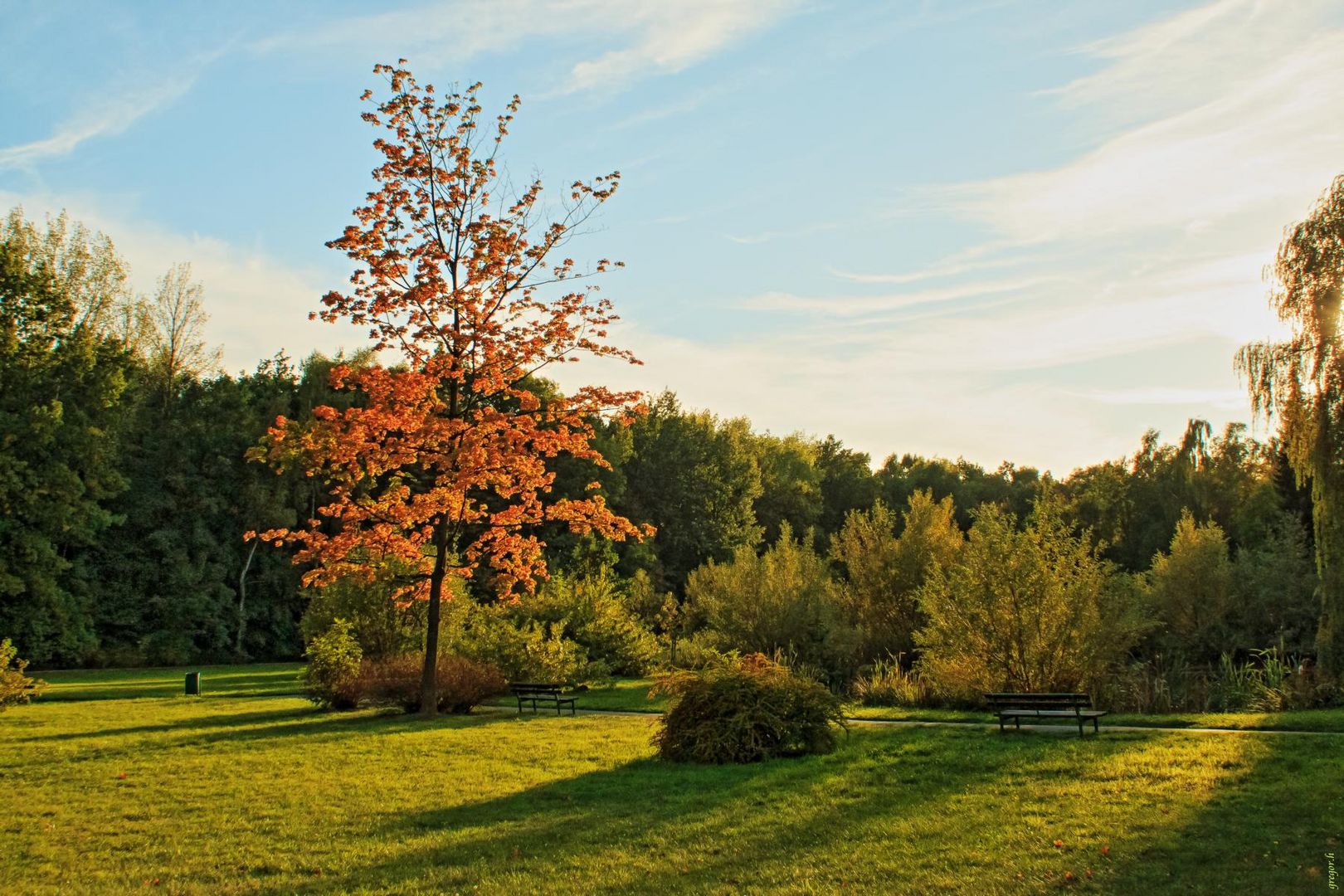 die Farben des Herbstes