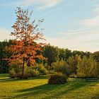 die Farben des Herbstes