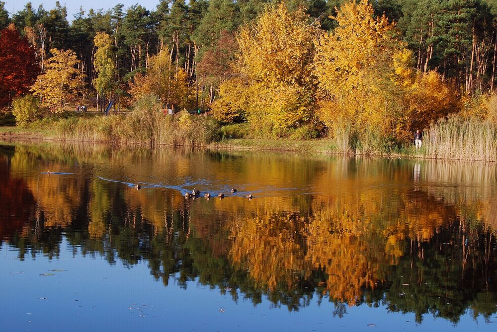 die Farben des Herbstes