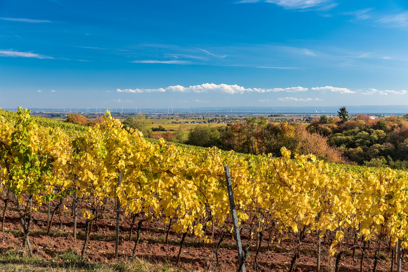 Die Farben des Herbstes 